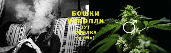 СК Аркадак