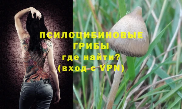 МДПВ Армянск