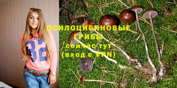 МДПВ Армянск