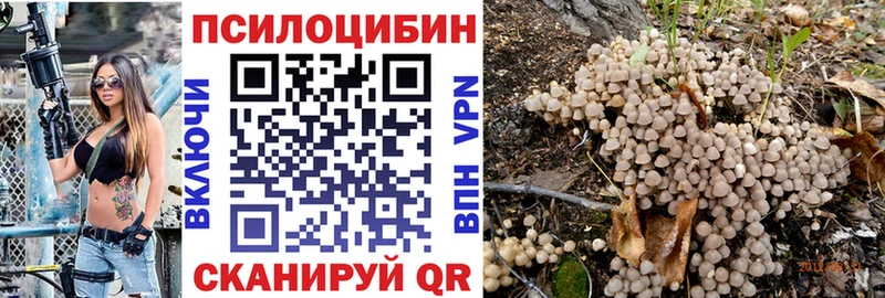 Галлюциногенные грибы мицелий  MEGA ССЫЛКА  Палласовка 