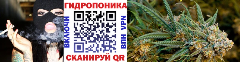 Каннабис сатива Палласовка